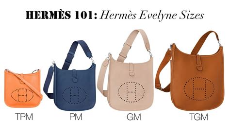 hermes evelyn medium|hermes evelyne bag sizes.